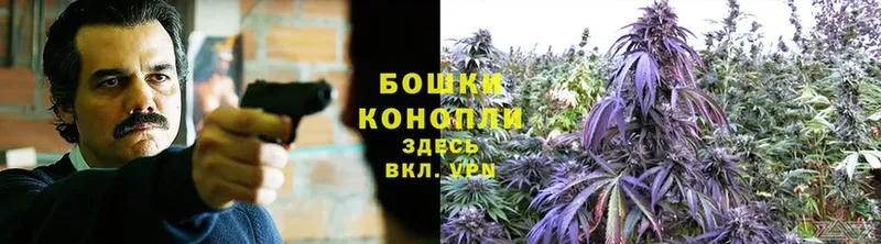 Бошки марихуана Amnesia  shop формула  Кохма  купить наркотики сайты 